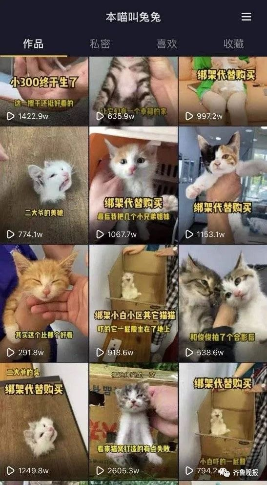 兔兔爸视频截图