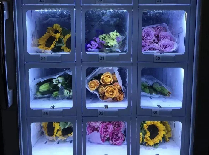 （图片来源：弗洛花园公众号）