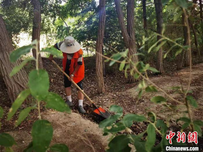 图为护林员清理杂草。　史静静 摄