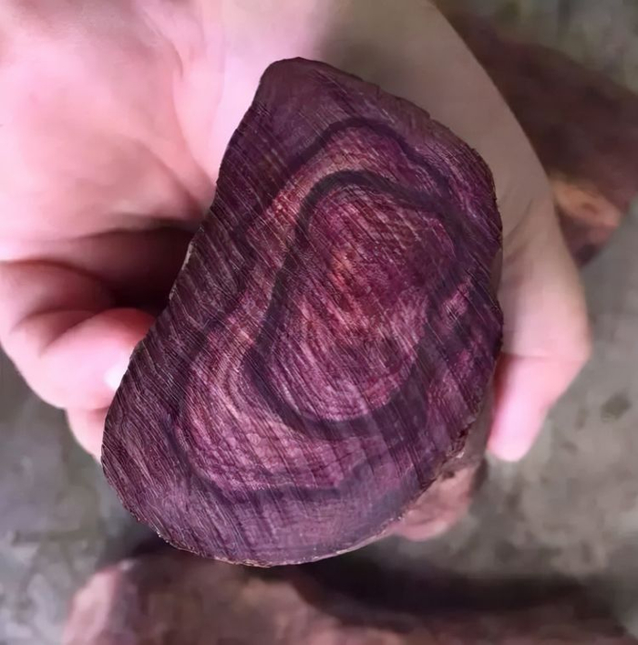 如何正确理解海南黄花梨中的紫油梨