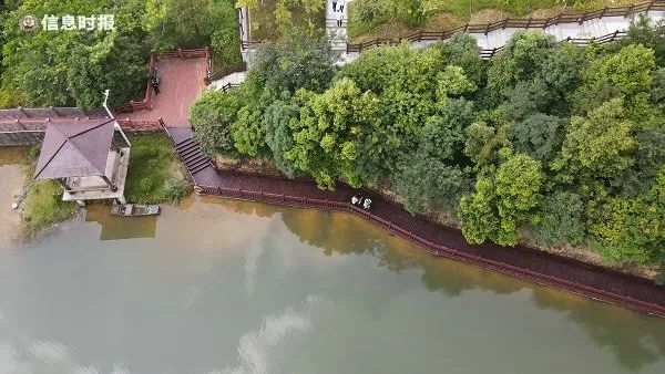 广州白江湖森林公园。信息时报记者 叶伟报 摄