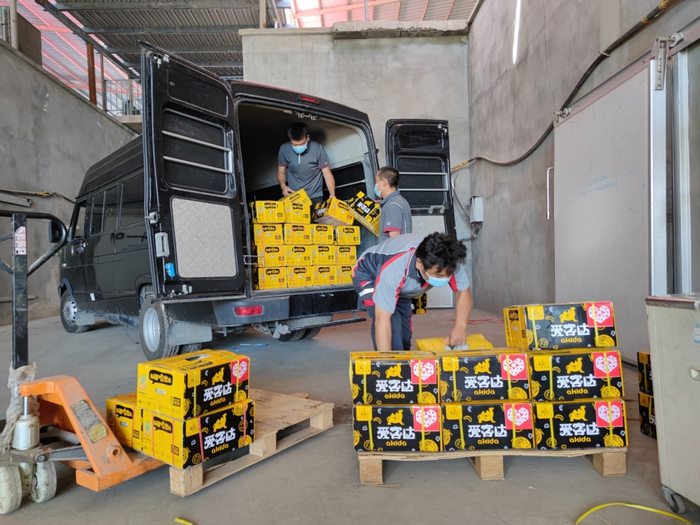 下午17点，顺丰速递将打包好的哈密瓜从中转冷库陆续发出，大约6个小时后，哈密瓜就将乘顺丰速运的全货机飞往全国各地。周杭 摄