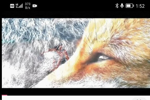 ▲观看视频时，从流量切换到室内WiFi也没有任何停顿，比较流畅（左上角图标能看到流量和WiFi之间的切换）