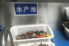 胖哥俩肉蟹煲餐厅卖隔夜蟹已成惯例 管理人员打着“不能浪费”旗号要求店员暗箱操作