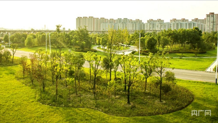 尤湾小区风景（央广网发 戴向荣摄）