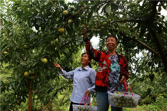 　　丰收的喜悦。通讯员 刘良玉 摄