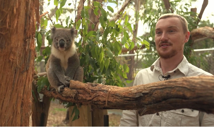 Frankie和保护中心环境专家Jason在一起&nbsp;&nbsp;PhillipIslandNatureParks图