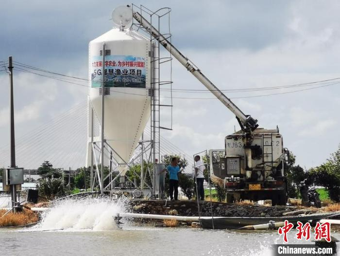 广东移动5G推进渔业数智化升级 广东移动供图