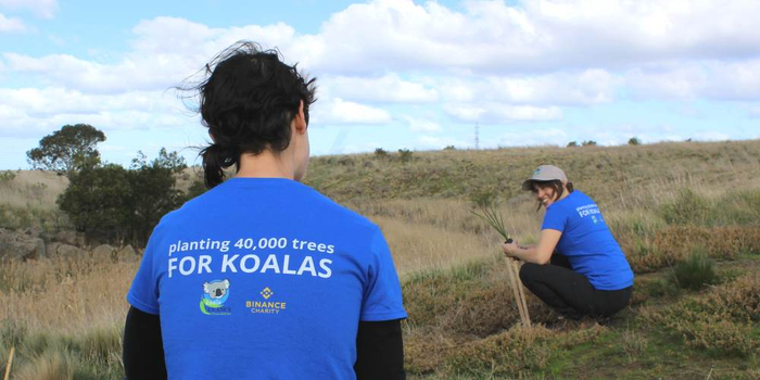 志愿者在雷蒙德岛上种树。Echidna Walkabout， East Gippsland， Victoria © Echidna Walkabout。&nbsp;澳大利亚旅游局官方网站&nbsp;图