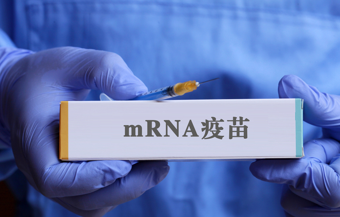 　　（图源自CFP）