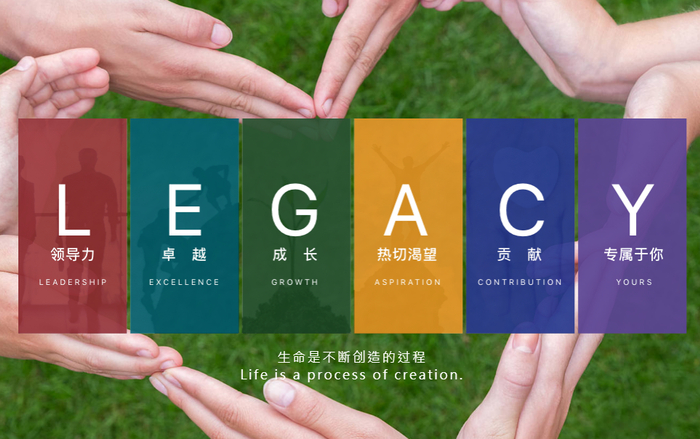 LEGACY官网截图。&nbsp;