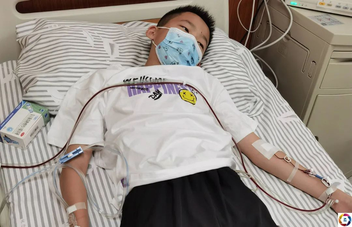 双胞胎哥哥患病,弟弟二捐骨髓,癌症母亲放弃治疗携子北上求医|儿子|白血病|妻子|王世磊|医生_新浪新闻