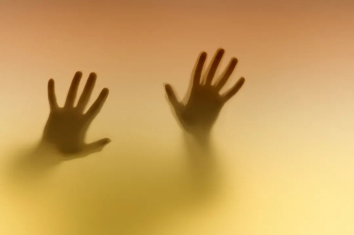 图片来源：视觉中国