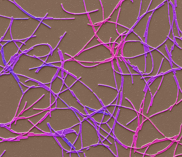 资料图（图源自：CFP）