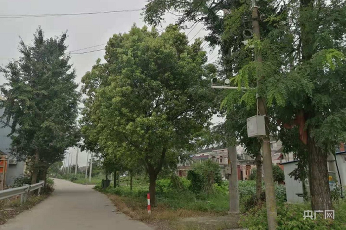 江安镇网络监控摄像头（央广网发 石建海摄）