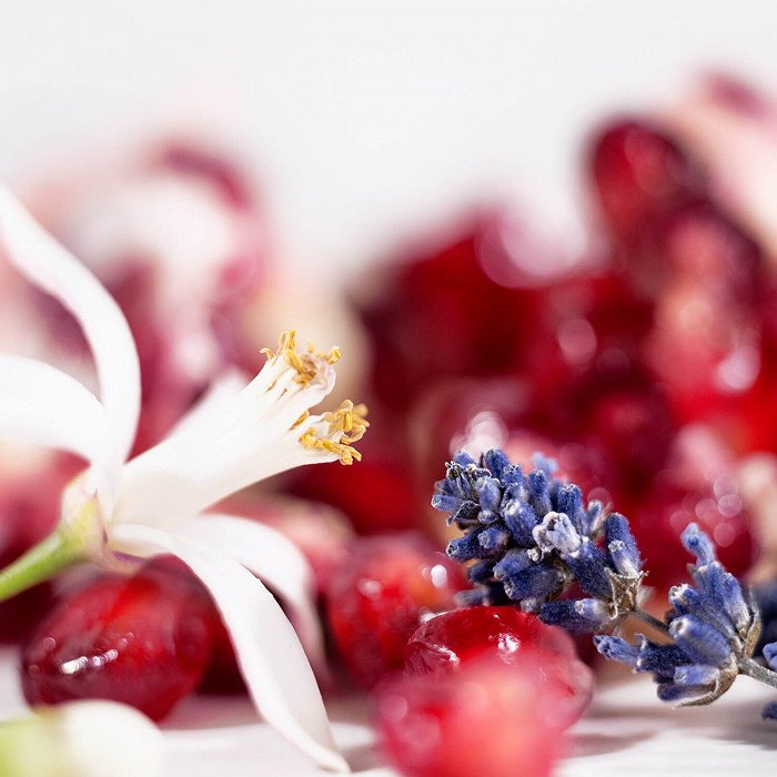 图片来源：FashionPress