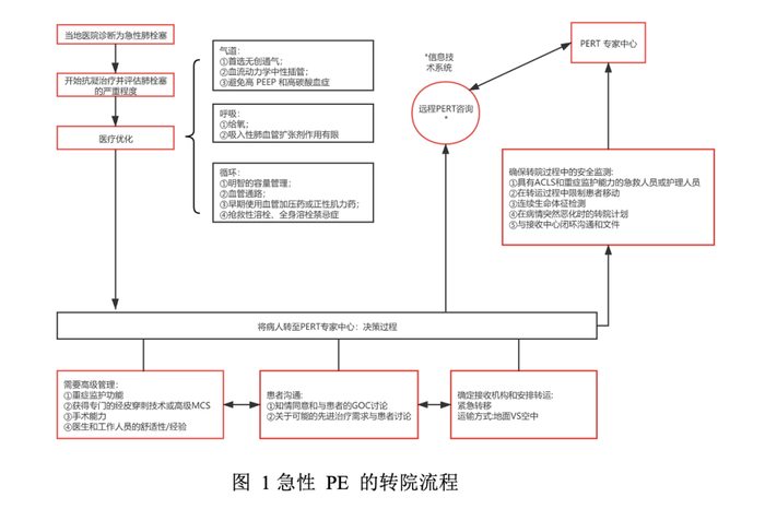 PE是什么导管急性肺栓塞 (PE) 患者的转院:挑战和机遇-上海聚慕医疗器械有限公司