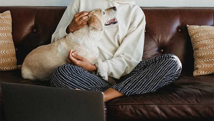 图片来源：Pexels-Samson Katt