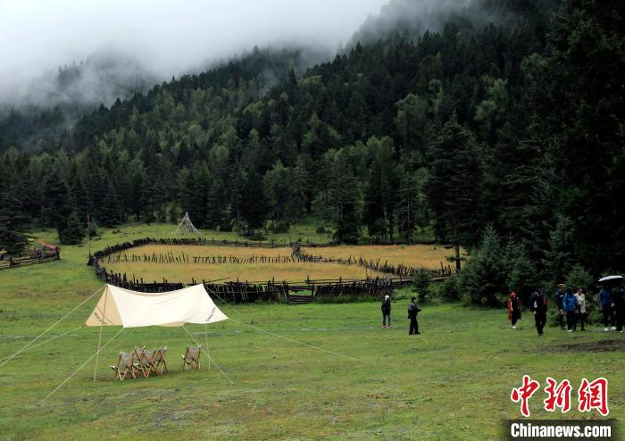 上纳咪村光和云朵民宿公共区域，草地、森林、雪山等景观丰富，常吸引年轻人前来拍摄写真。　王磊 摄