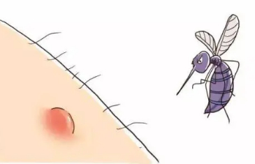 （图片来源于网络）