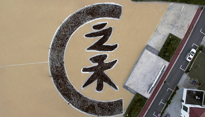 图片来源：ICICLE之禾