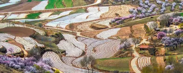 （彭阳梯田图片来源：宁夏文化和旅游官方微信公号）