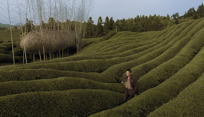模特在位于茶田间的沈烈毅作品前走过 图片来源：ICICLE之禾