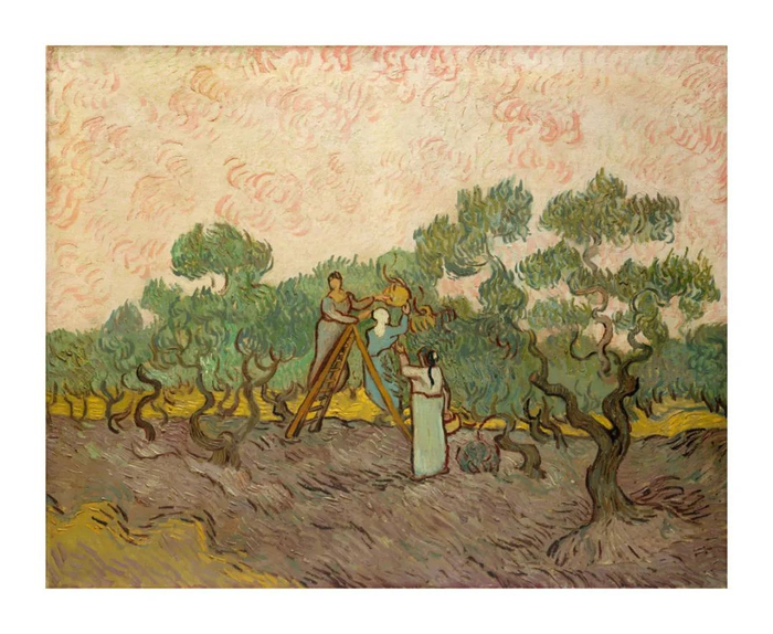 《采摘橄榄的女人》创作于1889年现藏于纽约大都会艺术博物馆