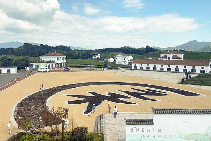 图片来源：ICICLE之禾