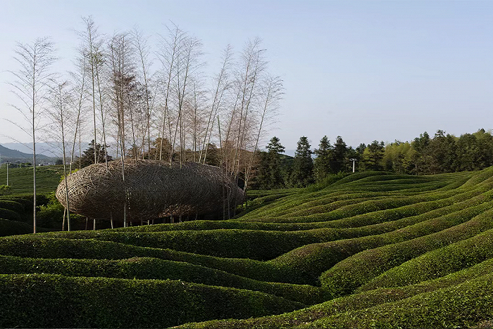 沈烈毅创作的《空游运行》图片来源：艺术在浮梁