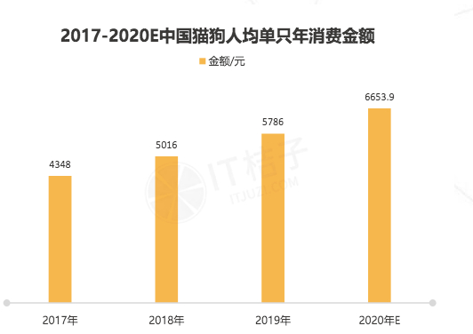 图源IT桔子，数据来源《2019宠物消费市场报告》