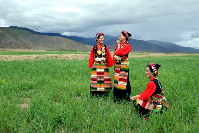 8月27日，西藏拉孜县锡钦乡岗西村，身着盛装的藏族姑娘在绿麦草地上。摄影/章轲