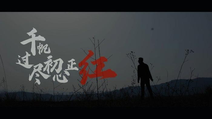 千帆过尽初心不悔(千帆过尽初心不悔出自哪里)