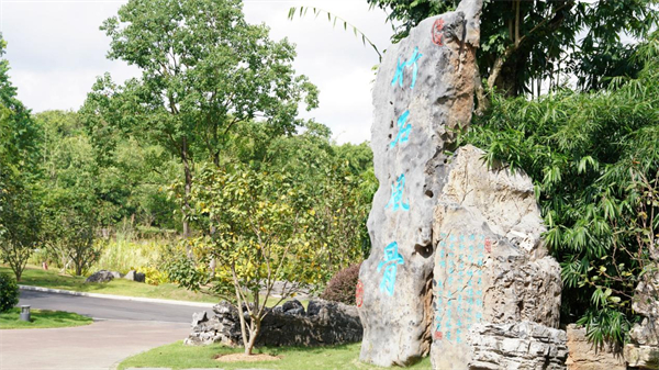 竹园中刻着“竹石风骨”的石碑。（央广网发 何俊儒摄）