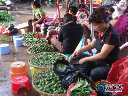  万宁市民正在选购槟榔生果。来源：南海网