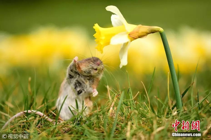 图片来源：视觉中国