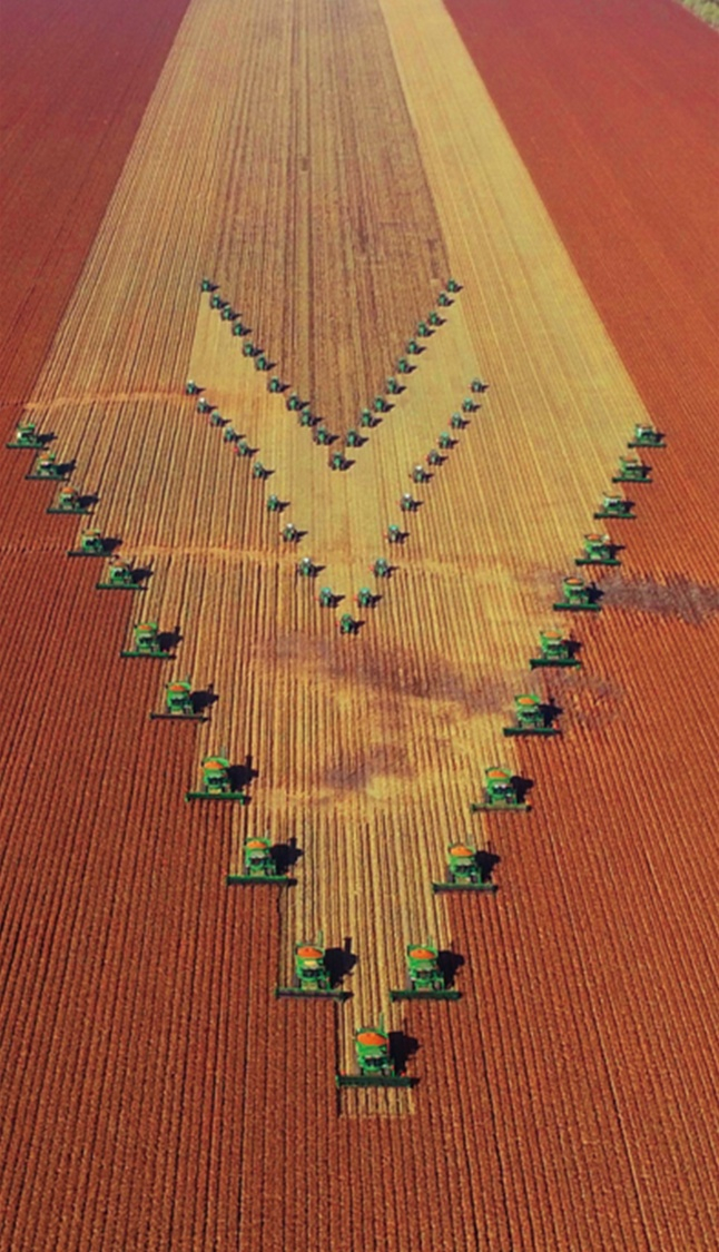 千里北大荒稻金粱红，机车整装前进。