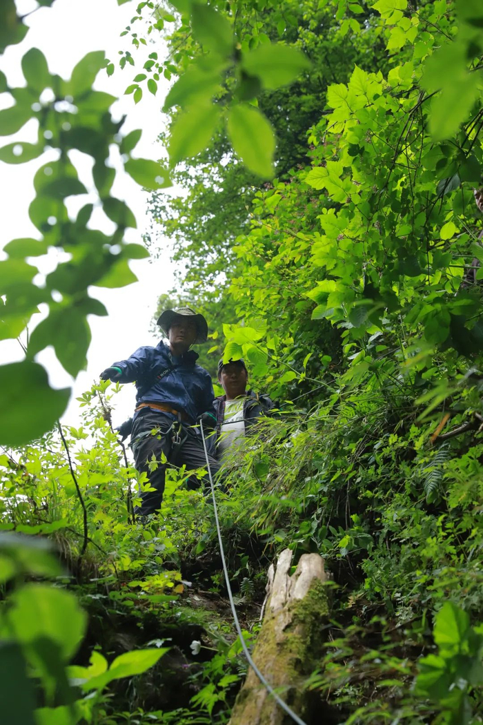 队员使用绳索技术从湿滑悬崖上缓缓下滑。刘勇 供图