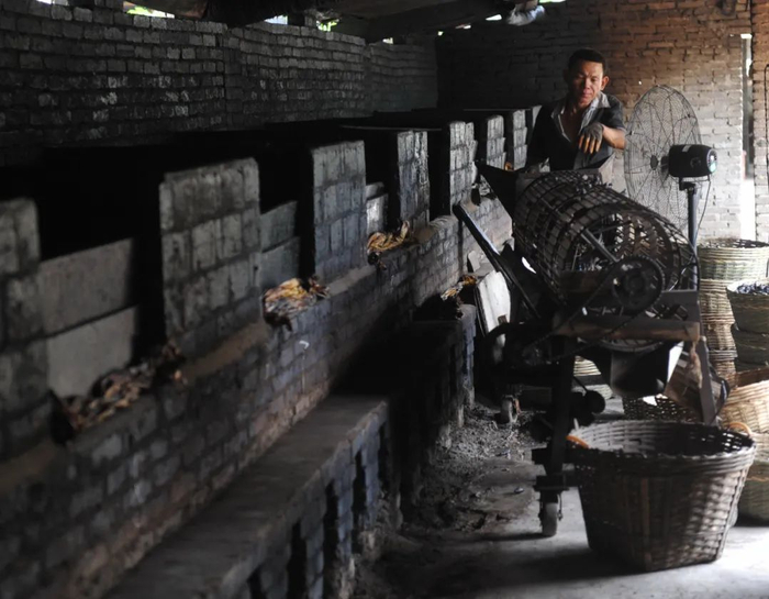 ▲海南琼海，一个槟榔加工厂工人正在烘烤槟榔干果。图/IC photo