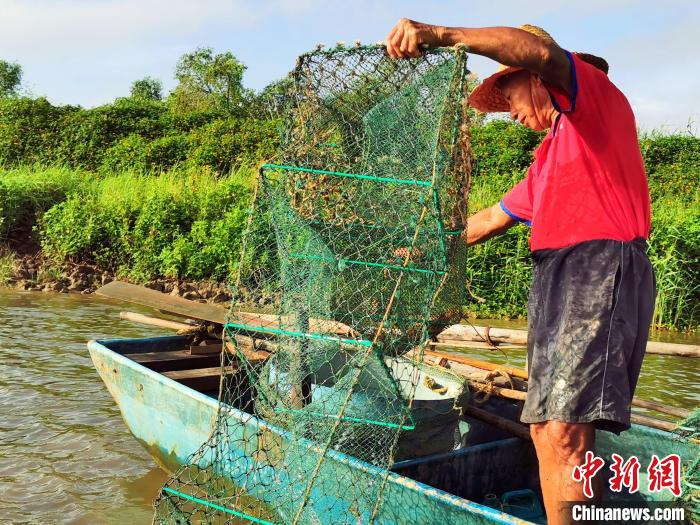 蟹农早上收蟹笼 李晓春 摄