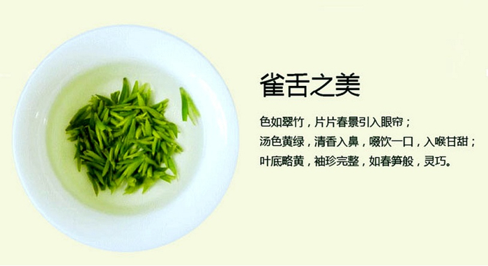 （常州金坛雀舌，企业供图，央广网发）