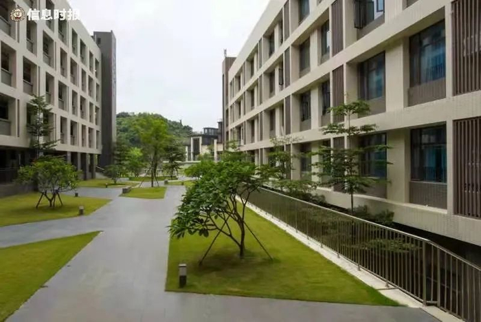 广大附中高新区实验学校。信息时报记者 陈文杰 摄
