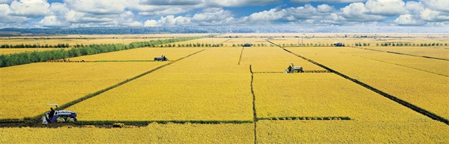 北大荒智慧农业。