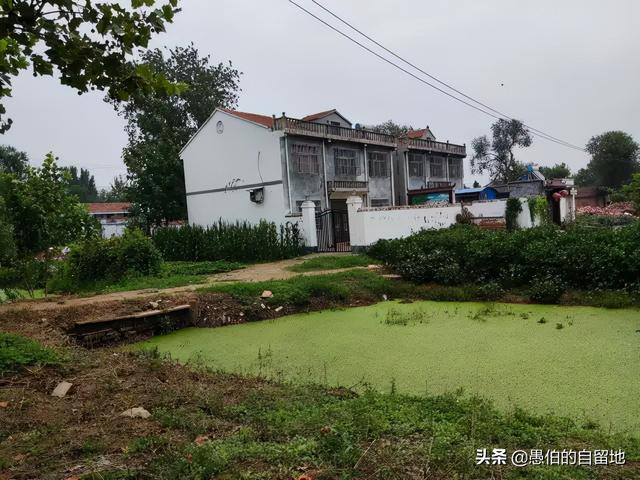 丰县欢口镇徐楼村:一个即将消失的村庄