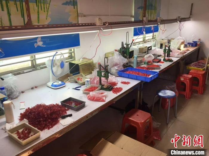 本案中涉及该品牌玩具4个类型9款产品，已销售2万余个，销售金额达400余万。　上海警方供图