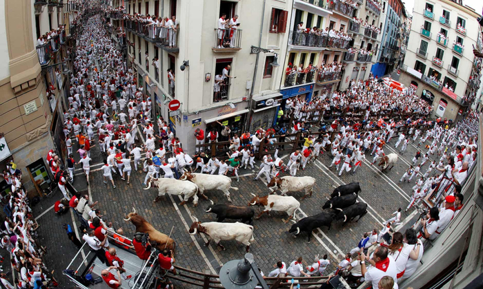 圣费尔明节奔牛活动
