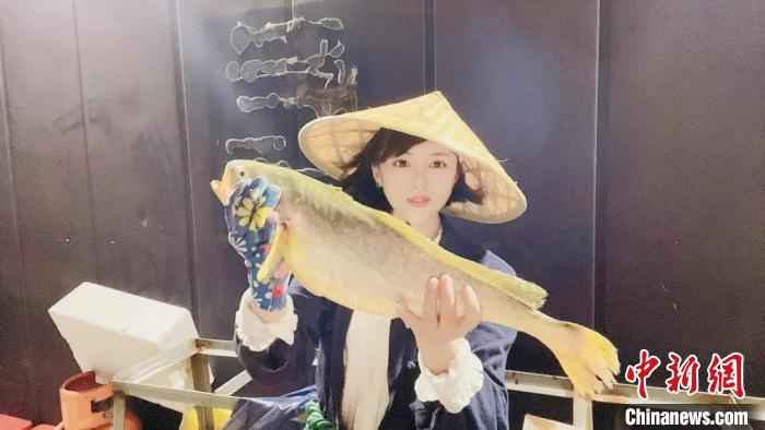 杨小平直播带货大陈黄鱼 杨小平供图