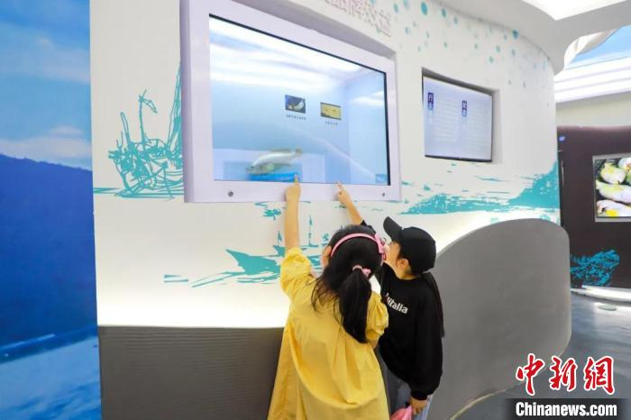 大陈黄鱼文化陈列馆一角 栾旖旎 摄