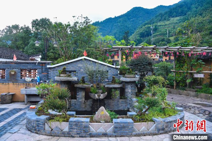 举淤口村美丽庭院一角 范宇斌 摄