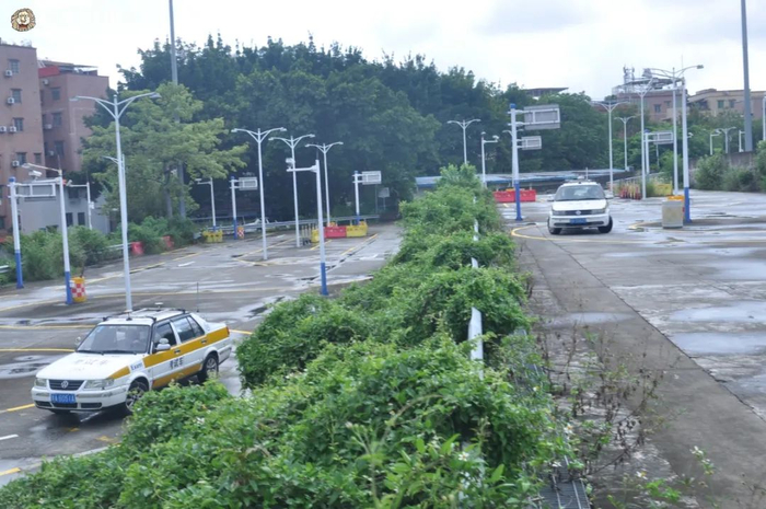 岑村驾考场。信息时报记者 陈引 摄